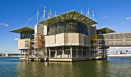 Lisbon oceanarium